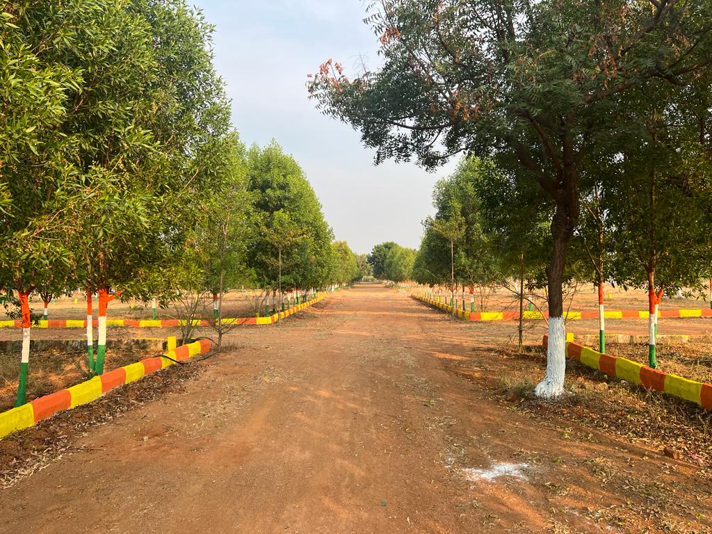 OPEN PLOT FOR SALE AT PAT